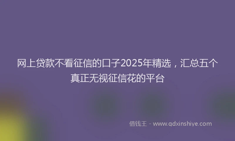 网上贷款不看征信的口子2025年精选，汇总五个真正无视征信花的平台