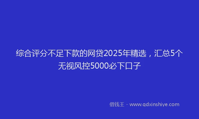 综合评分不足下款的网贷2025年精选，汇总5个无视风控5000必下口子