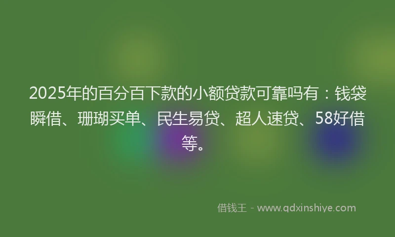 2025年的百分百下款的小额贷款可靠吗有：钱袋瞬借、珊瑚买单、民生易贷、超人速贷、58好借等。