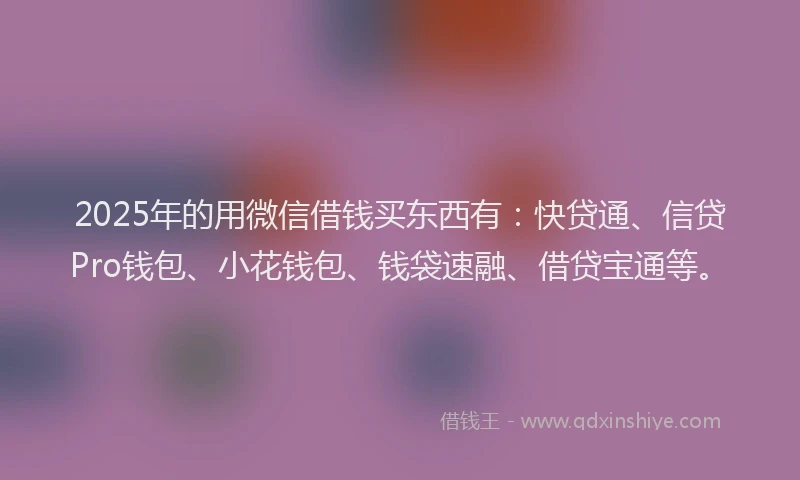 2025年的用微信借钱买东西有：快贷通、信贷Pro钱包、小花钱包、钱袋速融、借贷宝通等。