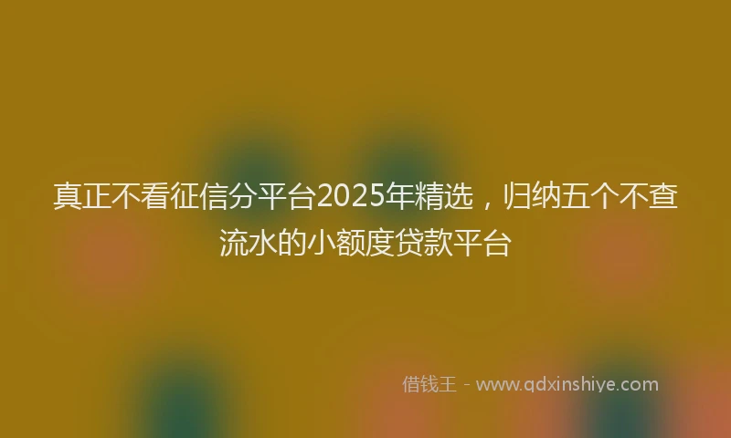 真正不看征信分平台2025年精选，归纳五个不查流水的小额度贷款平台