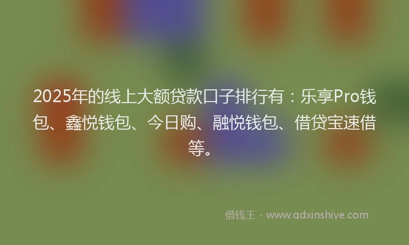 2025年的线上大额贷款口子排行有：乐享Pro钱包、鑫悦钱包、今日购、融悦钱包、借贷宝速借等。