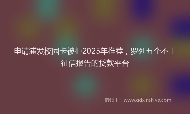 申请浦发校园卡被拒2025年推荐，罗列五个不上征信报告的贷款平台