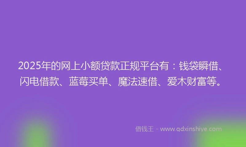 2025年的网上小额贷款正规平台有：钱袋瞬借、闪电借款、蓝莓买单、魔法速借、爱木财富等。