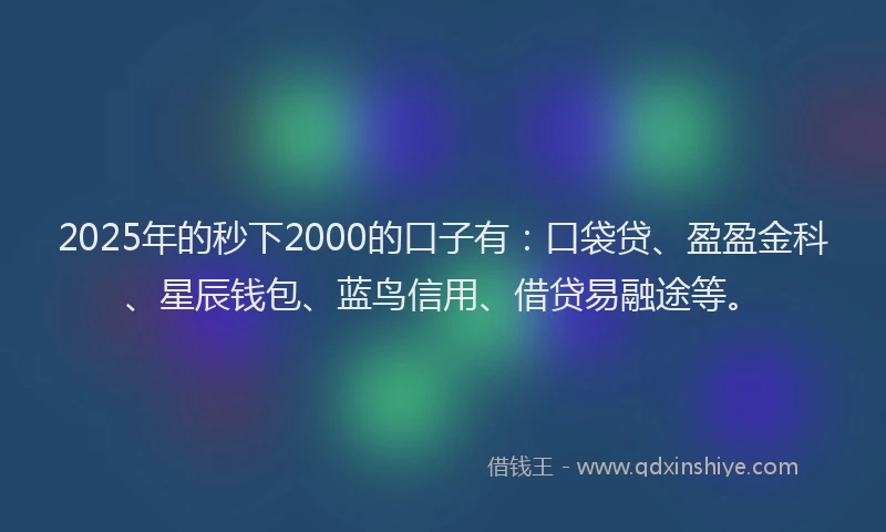 2025年的秒下2000的口子有：口袋贷、盈盈金科、星辰钱包、蓝鸟信用、借贷易融途等。