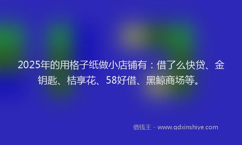 2025年的用格子纸做小店铺有：借了么快贷、金钥匙、桔享花、58好借、黑鲸商场等。