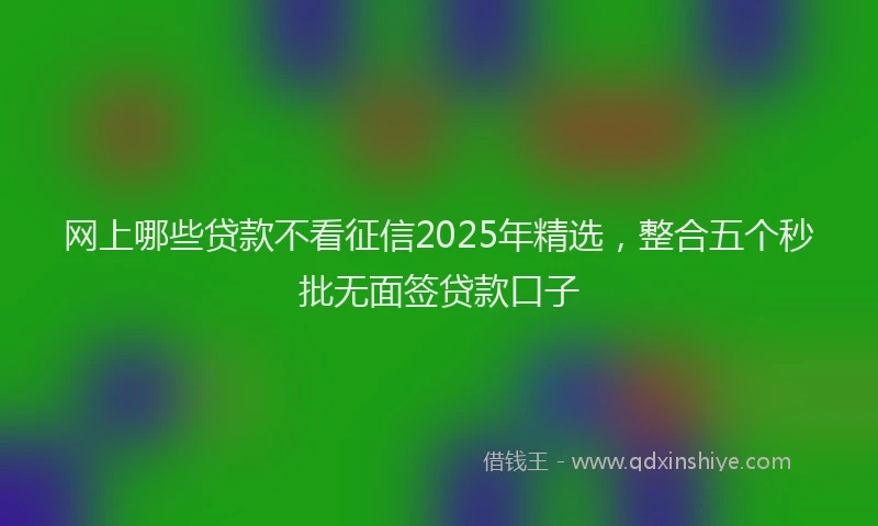 网上哪些贷款不看征信2025年精选，整合五个秒批无面签贷款口子