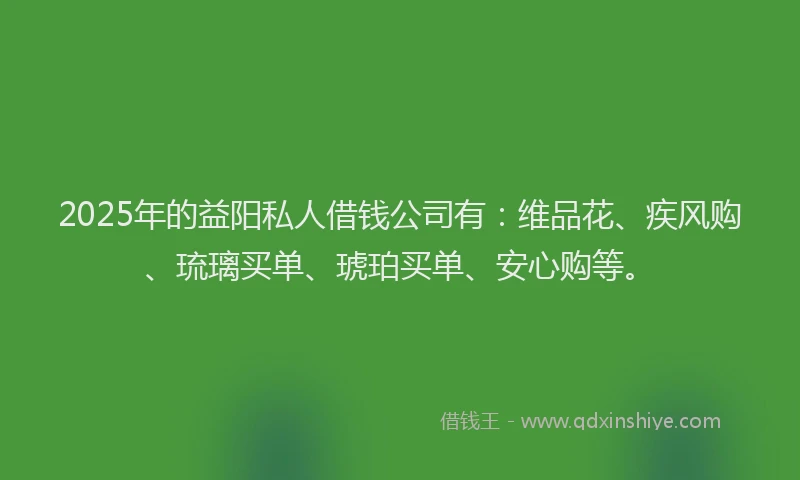 2025年的益阳私人借钱公司有：维品花、疾风购、琉璃买单、琥珀买单、安心购等。