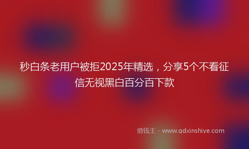 秒白条老用户被拒2025年精选，分享5个不看征信无视黑白百分百下款