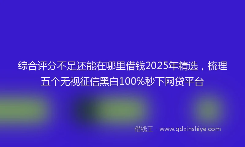 综合评分不足还能在哪里借钱2025年精选，梳理五个无视征信黑白100%秒下网贷平台