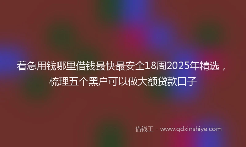 着急用钱哪里借钱最快最安全18周2025年精选，梳理五个黑户可以做大额贷款口子