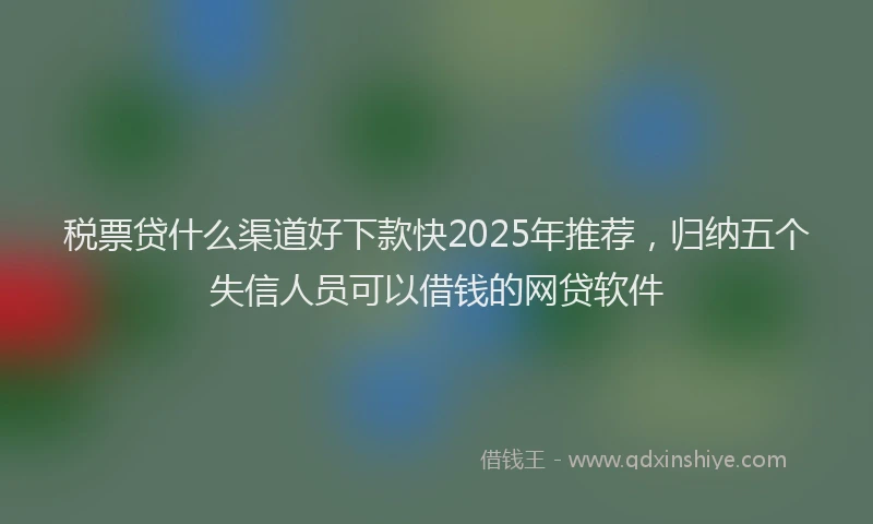 税票贷什么渠道好下款快2025年推荐，归纳五个失信人员可以借钱的网贷软件