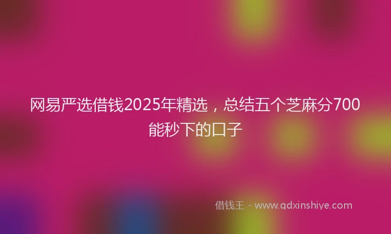 网易严选借钱2025年精选，总结五个芝麻分700能秒下的口子