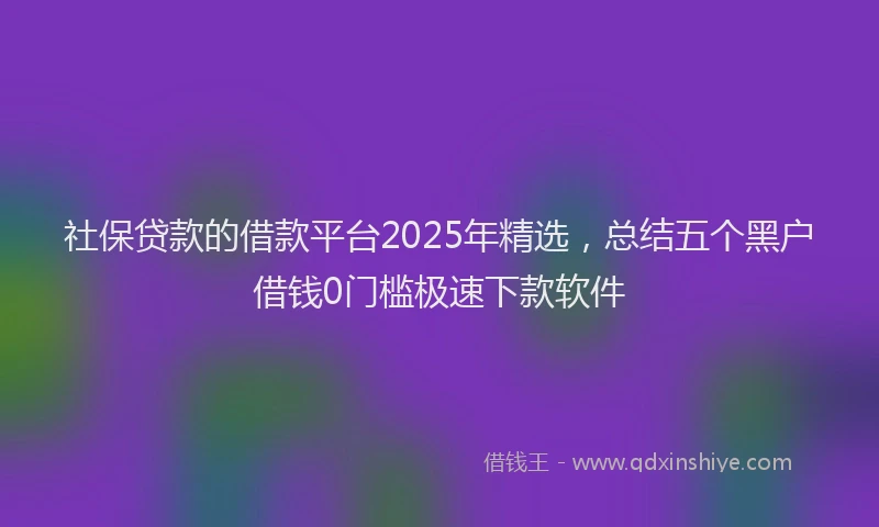 社保贷款的借款平台2025年精选，总结五个黑户借钱0门槛极速下款软件