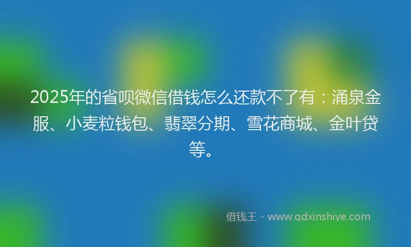 2025年的省呗微信借钱怎么还款不了有：涌泉金服、小麦粒钱包、翡翠分期、雪花商城、金叶贷等。
