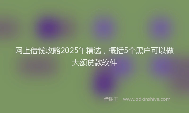 网上借钱攻略2025年精选，概括5个黑户可以做大额贷款软件