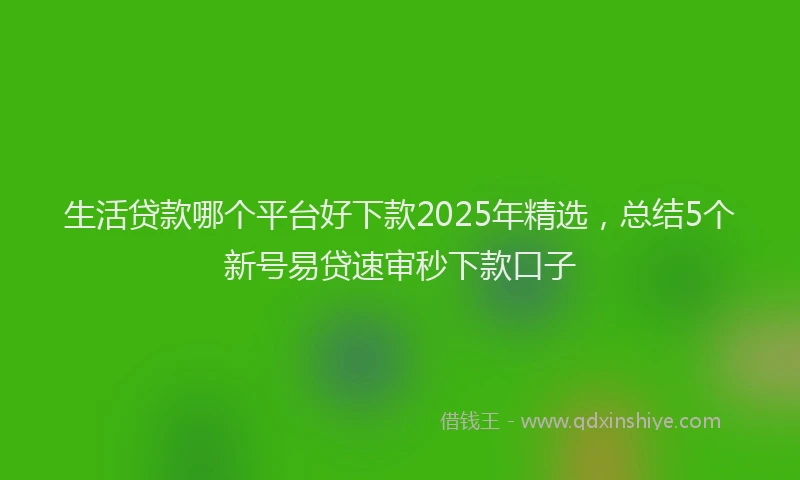 生活贷款哪个平台好下款2025年精选，总结5个新号易贷速审秒下款口子