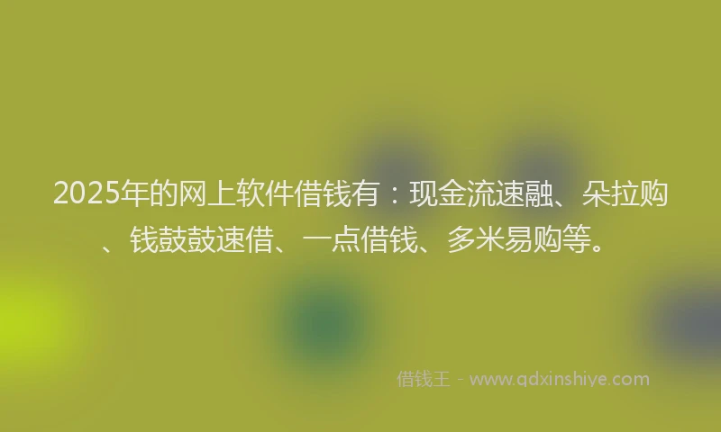 2025年的网上软件借钱有：现金流速融、朵拉购、钱鼓鼓速借、一点借钱、多米易购等。