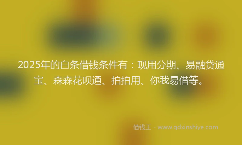 2025年的白条借钱条件有：现用分期、易融贷通宝、森森花呗通、拍拍用、你我易借等。