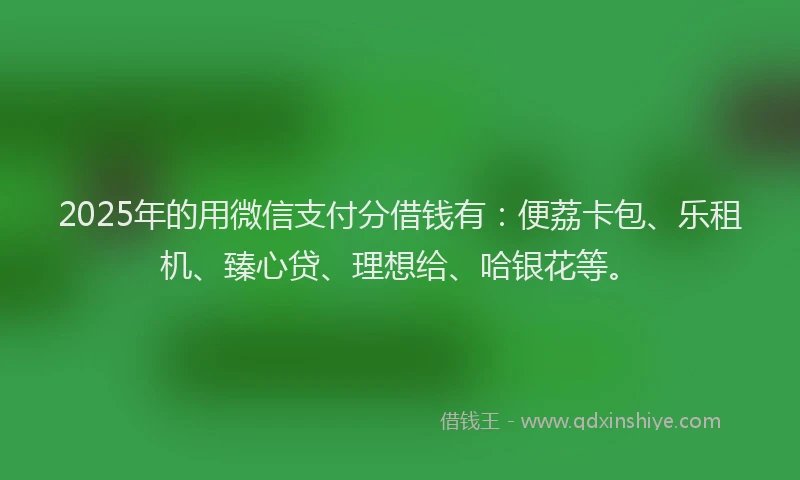 2025年的用微信支付分借钱有：便荔卡包、乐租机、臻心贷、理想给、哈银花等。