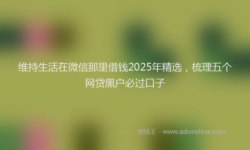 维持生活在微信那里借钱2025年精选，梳理五个网贷黑户必过口子