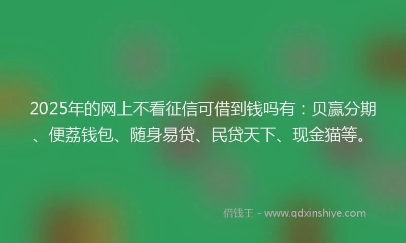 2025年的网上不看征信可借到钱吗有：贝赢分期、便荔钱包、随身易贷、民贷天下、现金猫等。