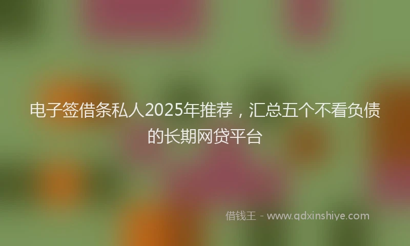 电子签借条私人2025年推荐，汇总五个不看负债的长期网贷平台