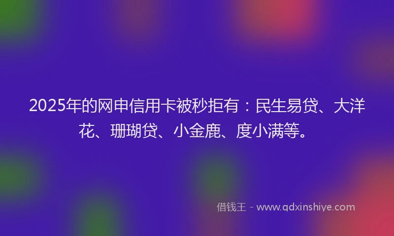 2025年的网申信用卡被秒拒有：民生易贷、大洋花、珊瑚贷、小金鹿、度小满等。