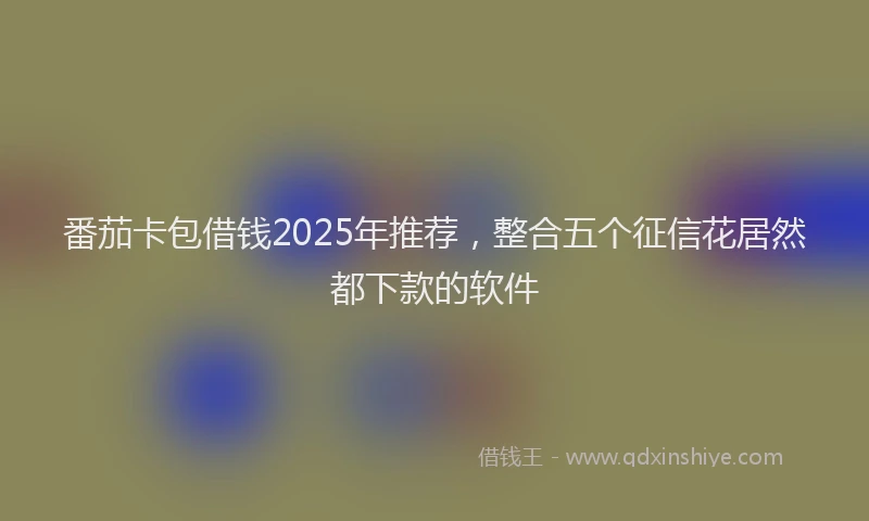 番茄卡包借钱2025年推荐，整合五个征信花居然都下款的软件