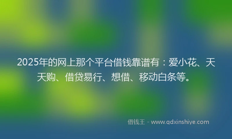 2025年的网上那个平台借钱靠谱有：爱小花、天天购、借贷易行、想借、移动白条等。