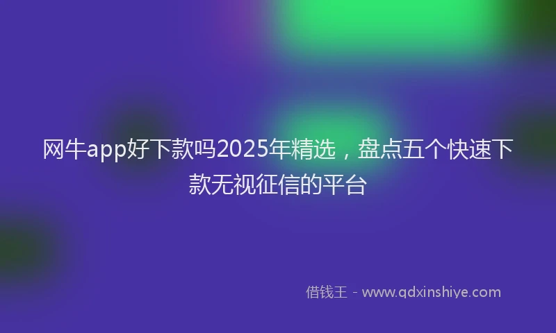 网牛app好下款吗2025年精选，盘点五个快速下款无视征信的平台