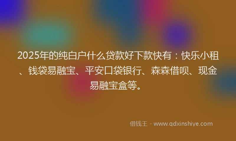 2025年的纯白户什么贷款好下款快有：快乐小租、钱袋易融宝、平安口袋银行、森森借呗、现金易融宝盒等。