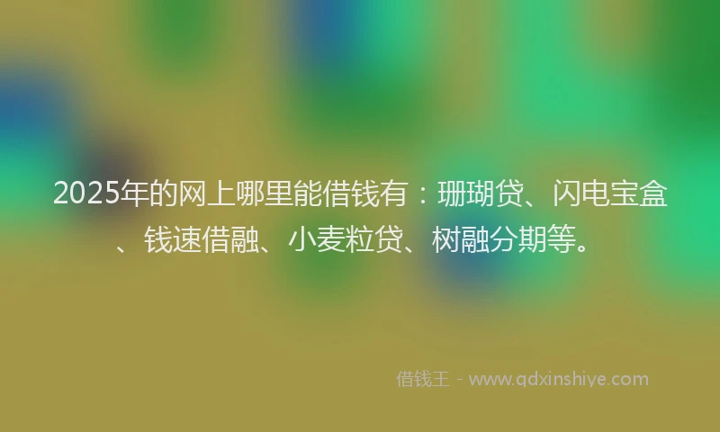 2025年的网上哪里能借钱有：珊瑚贷、闪电宝盒、钱速借融、小麦粒贷、树融分期等。