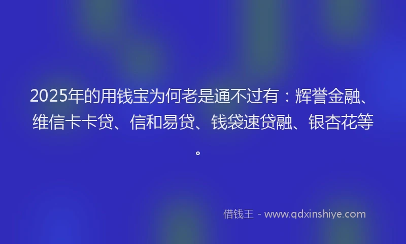 2025年的用钱宝为何老是通不过有：辉誉金融、维信卡卡贷、信和易贷、钱袋速贷融、银杏花等。