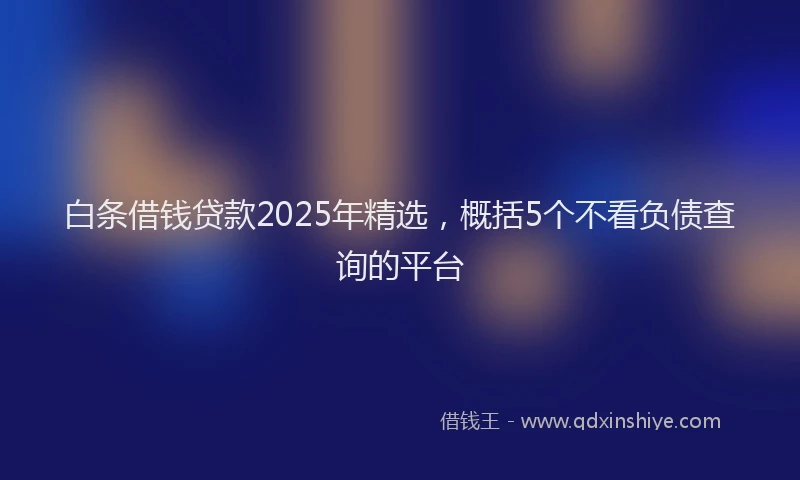 白条借钱贷款2025年精选，概括5个不看负债查询的平台