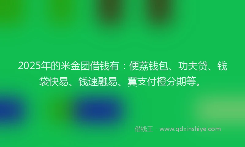 2025年的米金团借钱有：便荔钱包、功夫贷、钱袋快易、钱速融易、翼支付橙分期等。