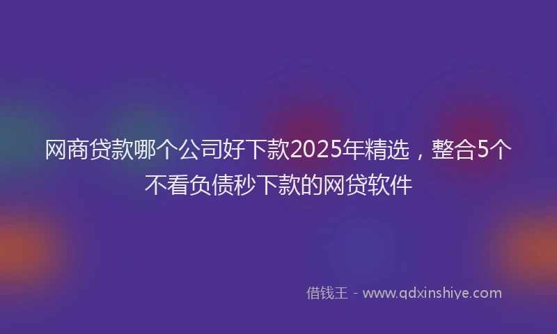 网商贷款哪个公司好下款2025年精选，整合5个不看负债秒下款的网贷软件