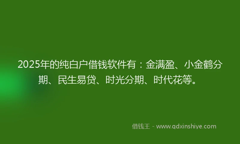 2025年的纯白户借钱软件有：金满盈、小金鹤分期、民生易贷、时光分期、时代花等。