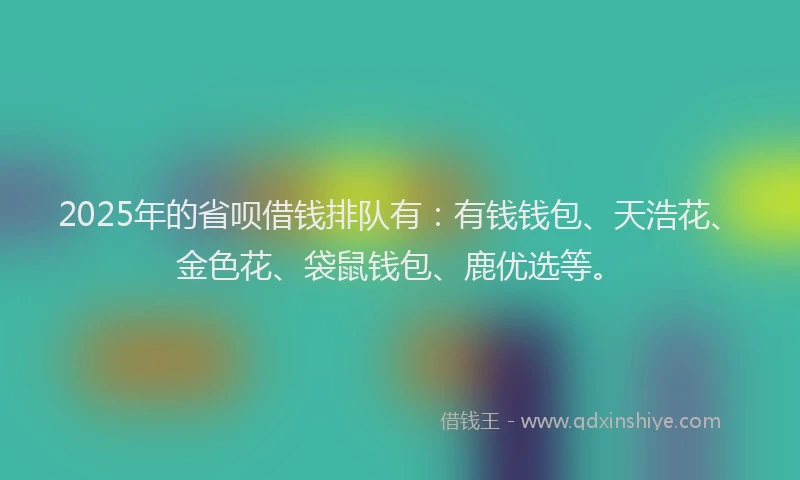 2025年的省呗借钱排队有：有钱钱包、天浩花、金色花、袋鼠钱包、鹿优选等。