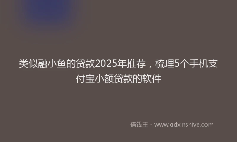 类似融小鱼的贷款2025年推荐，梳理5个手机支付宝小额贷款的软件