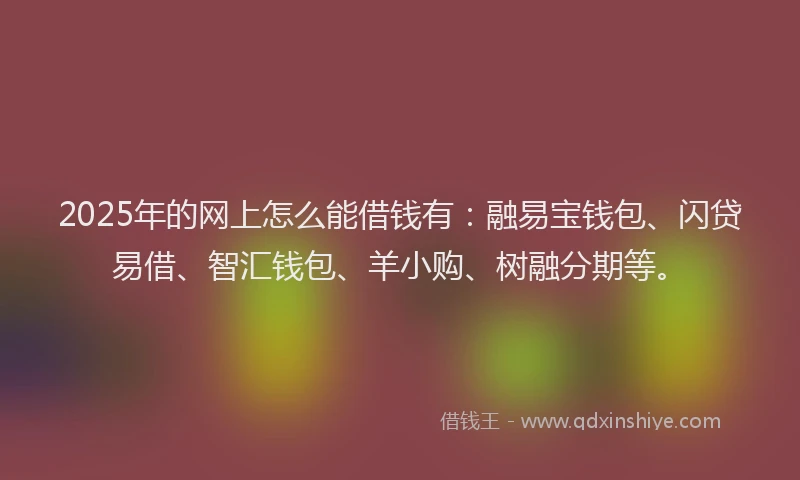 2025年的网上怎么能借钱有：融易宝钱包、闪贷易借、智汇钱包、羊小购、树融分期等。