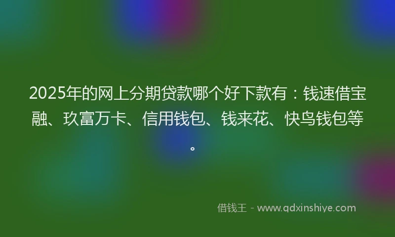 2025年的网上分期贷款哪个好下款有：钱速借宝融、玖富万卡、信用钱包、钱来花、快鸟钱包等。