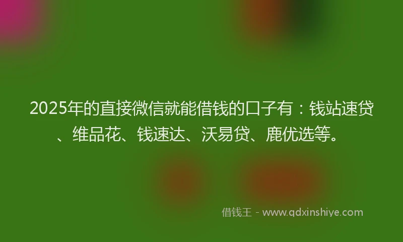 2025年的直接微信就能借钱的口子有：钱站速贷、维品花、钱速达、沃易贷、鹿优选等。