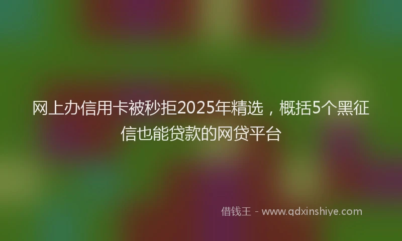网上办信用卡被秒拒2025年精选，概括5个黑征信也能贷款的网贷平台
