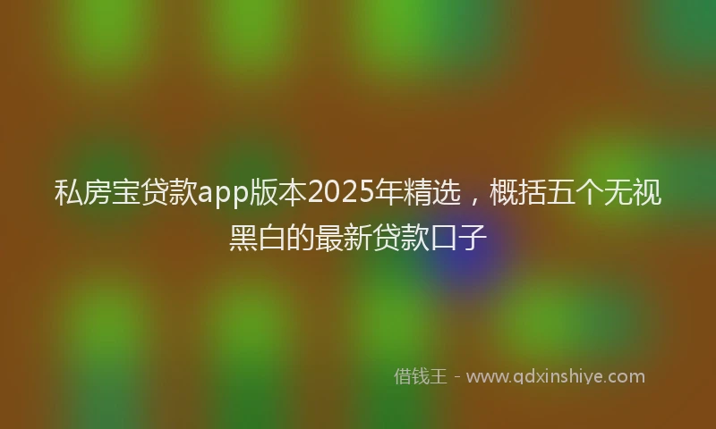 私房宝贷款app版本2025年精选，概括五个无视黑白的最新贷款口子