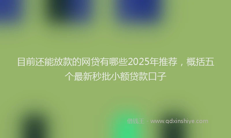 目前还能放款的网贷有哪些2025年推荐，概括五个最新秒批小额贷款口子