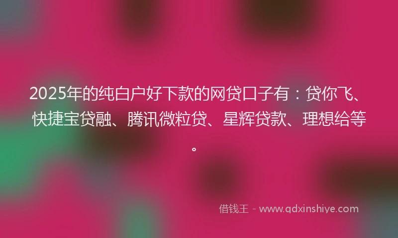 2025年的纯白户好下款的网贷口子有：贷你飞、快捷宝贷融、腾讯微粒贷、星辉贷款、理想给等。
