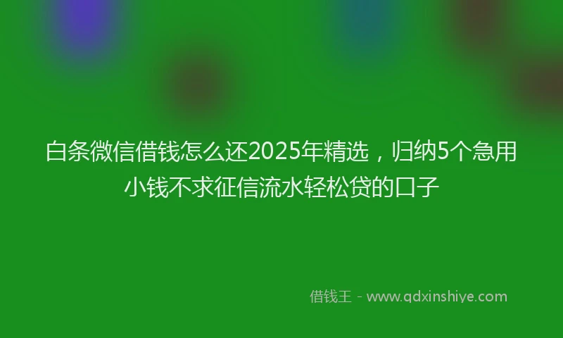 白条微信借钱怎么还2025年精选，归纳5个急用小钱不求征信流水轻松贷的口子