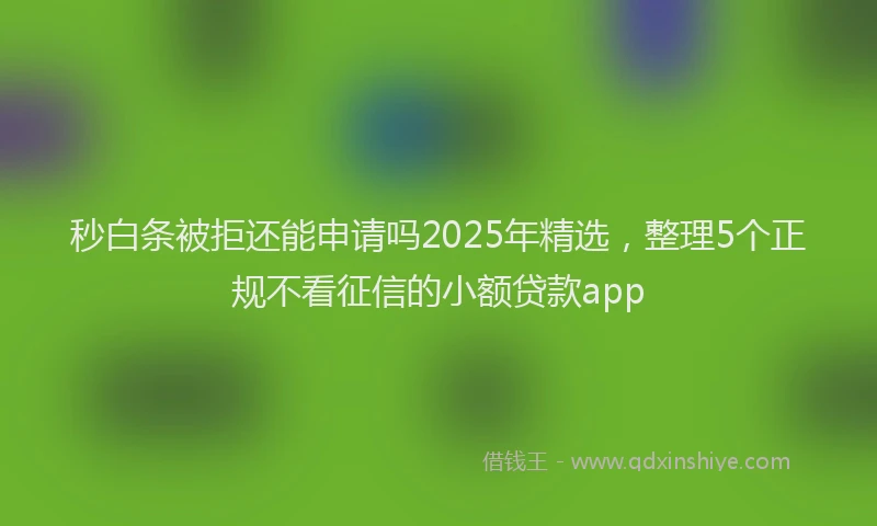 秒白条被拒还能申请吗2025年精选，整理5个正规不看征信的小额贷款app