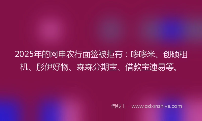2025年的网申农行面签被拒有：哆哆米、创硕租机、彤伊好物、森森分期宝、借款宝速易等。